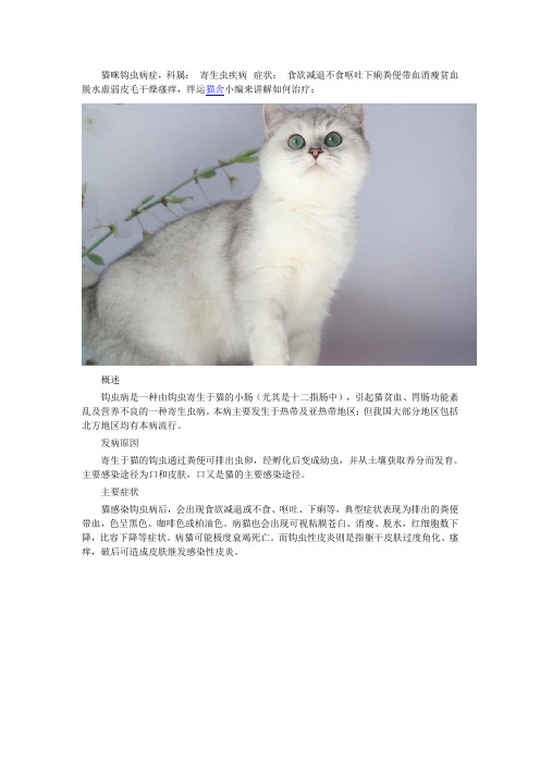 猫咪钩虫病症状及治疗方法