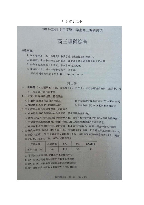 广东省东莞市高三上学期期末教学质量检查(图片)——理