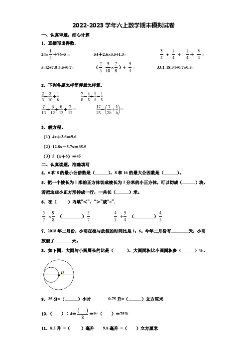 云南省文山壮族苗族自治州文山县2022年六年级数学第一学期期末学业质量监测试题含解析