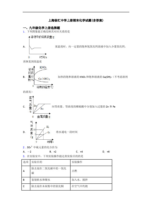 上海徐汇中学初三化学上册期末化学试题(含答案)