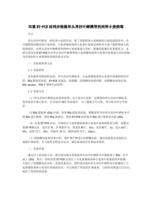 双重RT-PCR法同步检测单头异沙叶蝉携带的两种小麦病毒