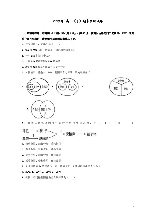 2019高一生物下学期期末!