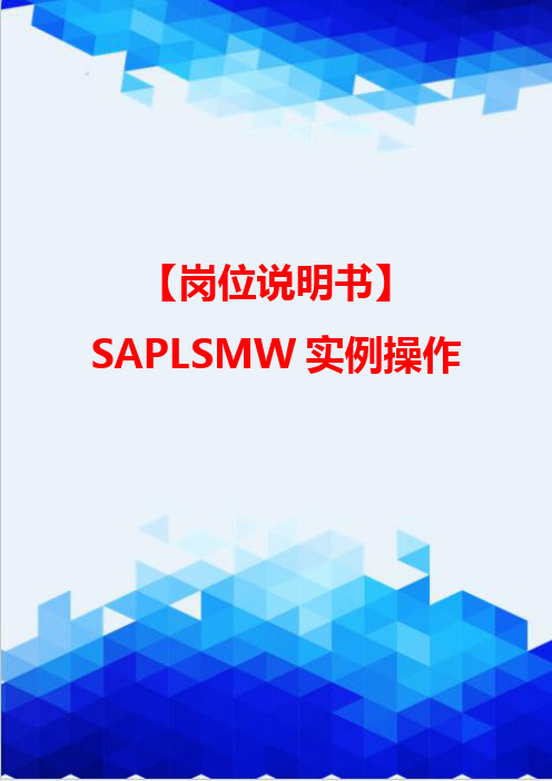 【岗位说明书】SAPLSMW实例操作