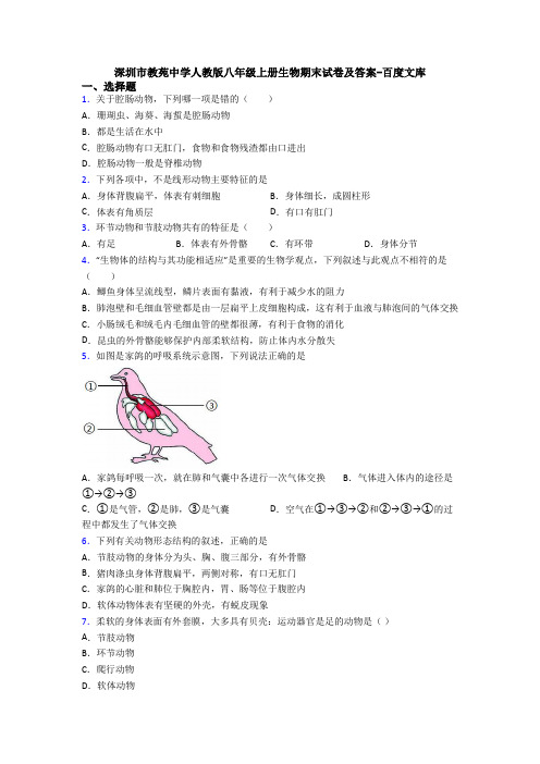 深圳市教苑中学人教版八年级上册生物期末试卷及答案-百度文库