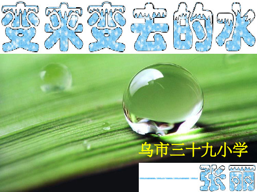 会变的水 大班语言ppt课件