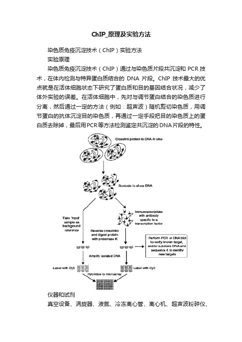 ChIP_原理及实验方法