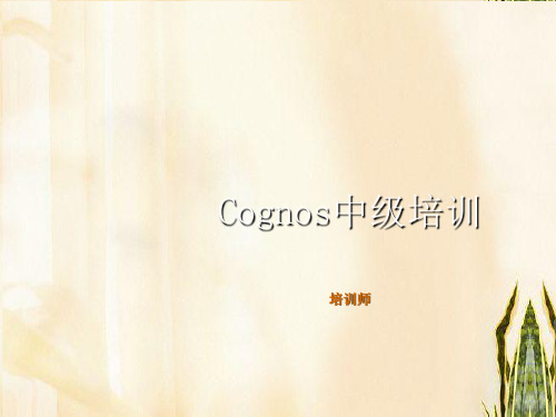 Cognos中级指导培训教程