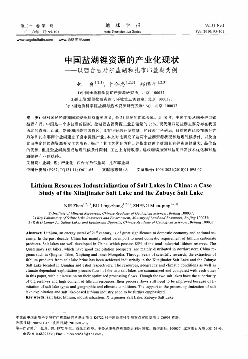 中国盐湖锂资源的产业化现状——以西台吉乃尔盐湖和扎布耶盐湖为例