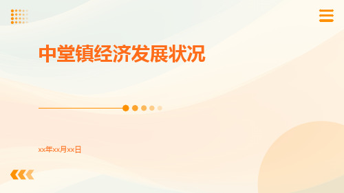 中堂镇经济发展状况