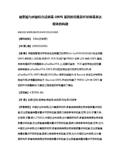 猪繁殖与呼吸综合征病毒ORF5基因的克隆及杆状病毒表达载体的构建