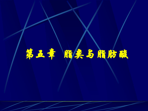 第五章 脂类与脂肪酸