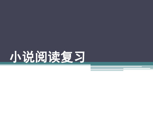 中考复习：小说阅读复习ppt课件(1-4)