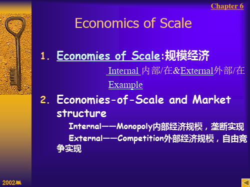 规模经济 Economics of Scale