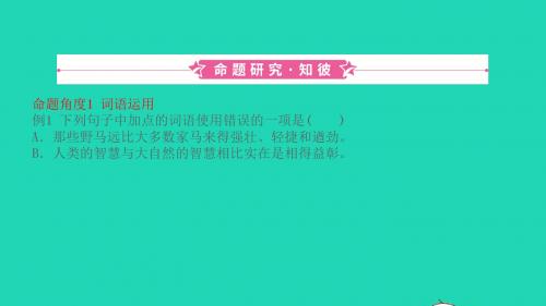 山东省德州市2019中考语文题型二词语运用复习课件