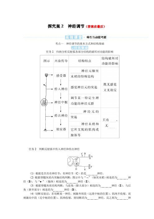 2025届高中生物高考复习学案：神经调节