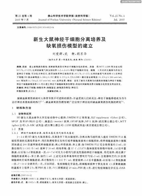 新生大鼠神经干细胞分离培养及缺氧损伤模型的建立