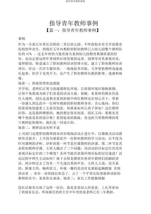 指导青年教师案例