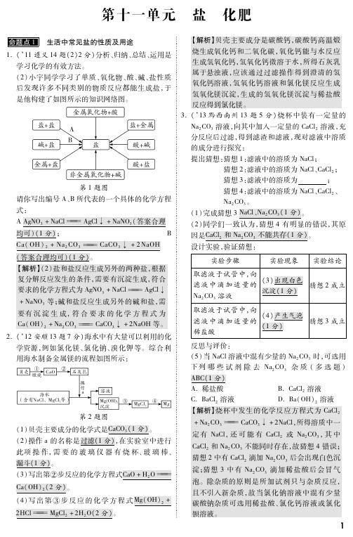 中考化学+第十一单元+盐+化肥(pdf版) (1)