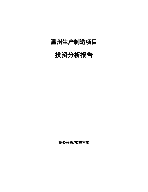 温州生产制造项目投资分析报告