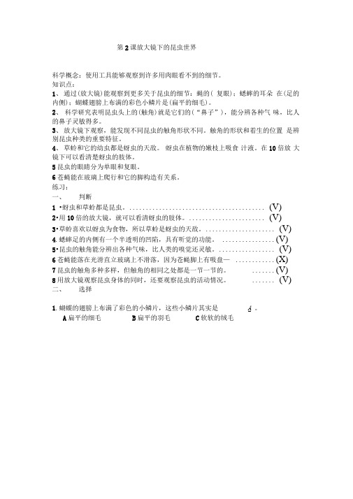 第2课放大镜下的昆虫世界科学概念使用工具能够观察到许多用肉眼