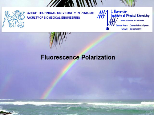 Flourence polarization(荧光偏振)