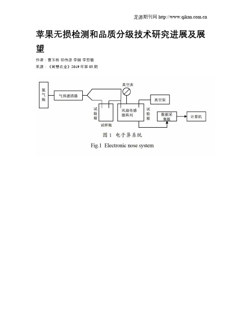 苹果无损检测和品质分级技术研究进展及展望