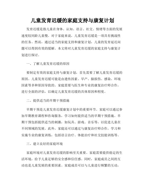 儿童发育迟缓的家庭支持与康复计划