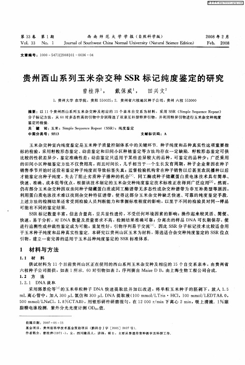 贵州西山系列玉米杂交种SSR标记纯度鉴定的研究