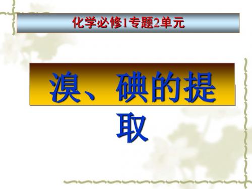 化学课件《溴、碘的提取》优秀ppt2 苏教版