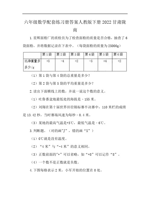 六年级数学配套练习册答案人教版下册2022甘肃陇南