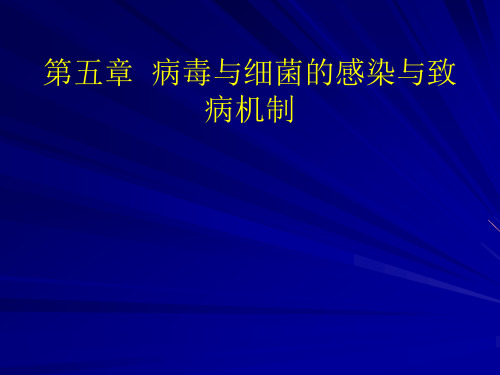 病毒与细菌的感染与致病机制