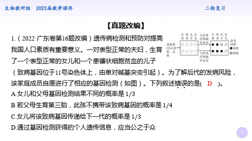 专题二  遗传与进化综合训练2023年高考生物二轮复习课件