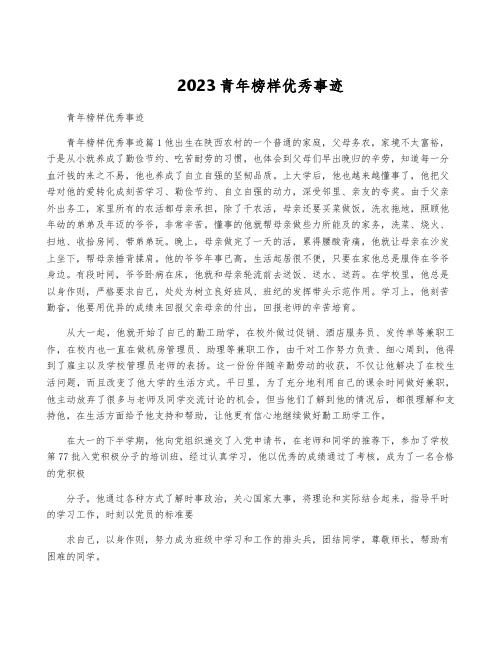 2023青年榜样优秀事迹