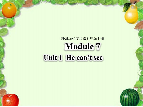 外研版五年级英语上册-Module7-Unit 1 He can’t see  公开课PPT课件