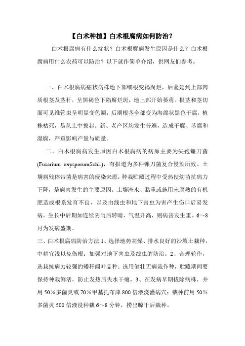【白术种植】白术根腐病如何防治?