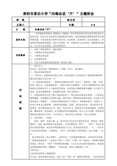 主题班会——向毒品说“不”教案