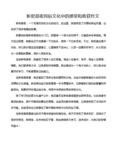 新密县衙民俗文化中的感受和收获作文