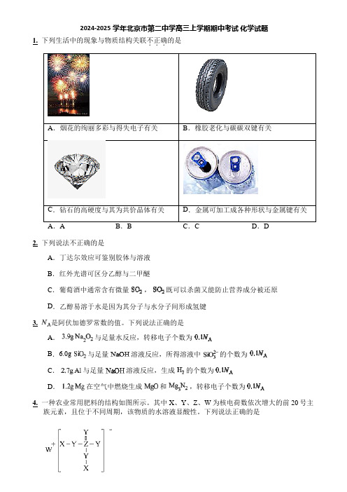 2024-2025学年北京市第二中学高三上学期期中考试 化学试题