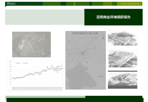 昆明商业市场研究报告