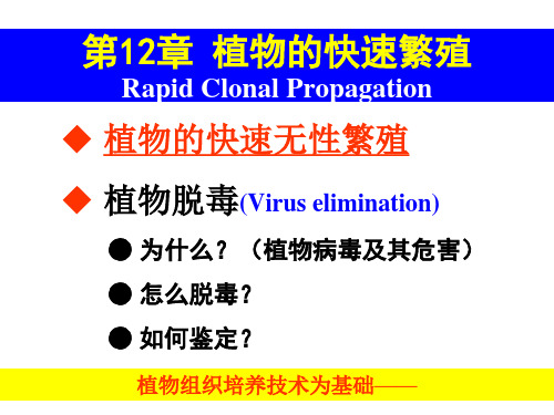 1200植物的快速繁殖精品PPT课件