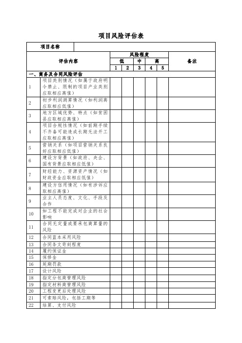 项目风险评估表