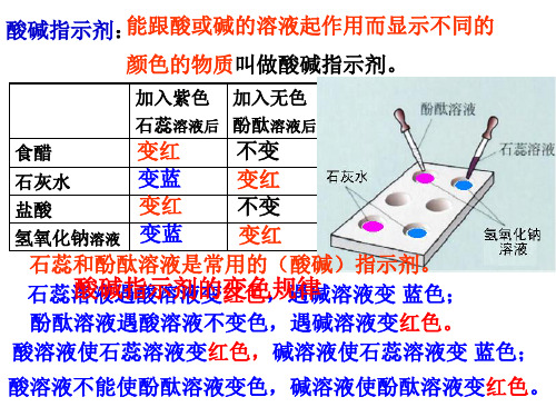 课题1  常见的酸和碱第四课时