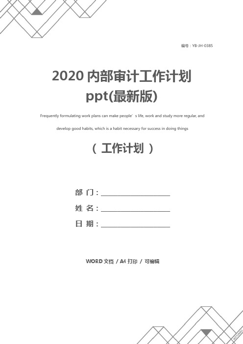 2020内部审计工作计划ppt(最新版)