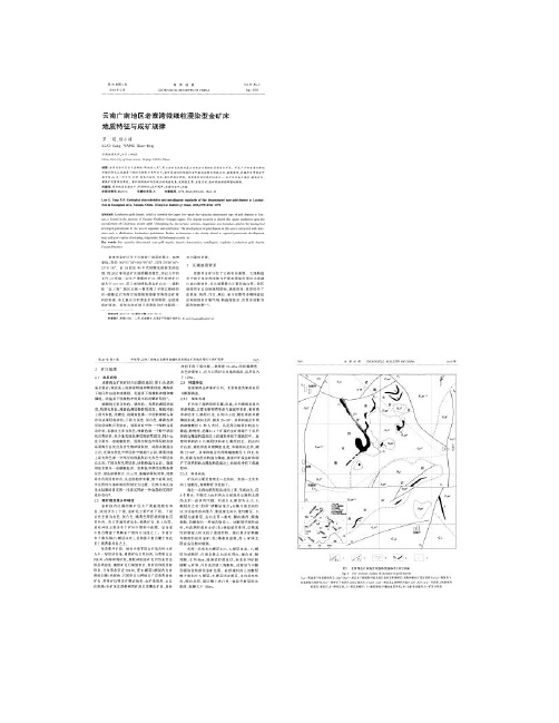 云南广南地区老寨湾微细粒浸染型金矿床地质特征与成矿规律