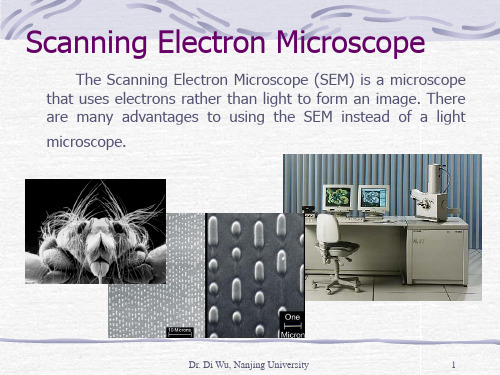 材料表征教学资料 sem.ppt