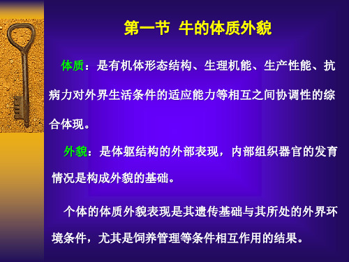 精选养牛学第三章牛的体质外貌和生产力