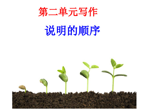 2019年春部编新版人教版八年级下册语文 第二单元写作 说明的顺序 精制课件