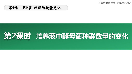 1.2.2 培养液中酵母菌种群数量的变化 课件 2023-2024学年高二生物人教版选择性必修2