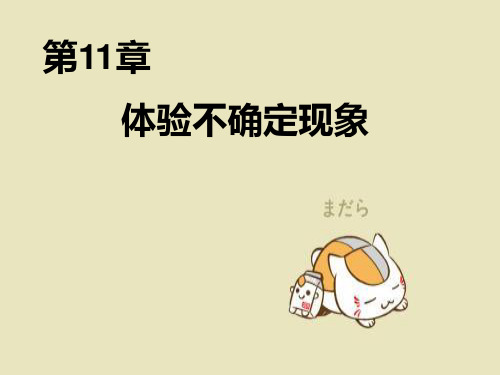 体验不确定现象PPT教学课件