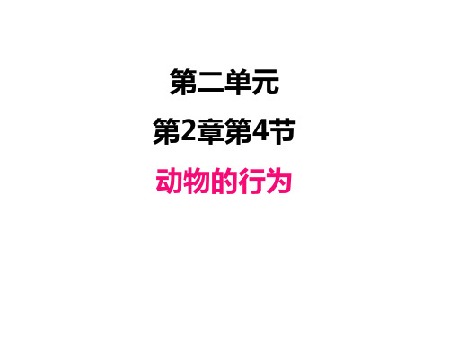 济南版初中七年级上册生物精品教学课件 第一单元 第2章 动物的行为